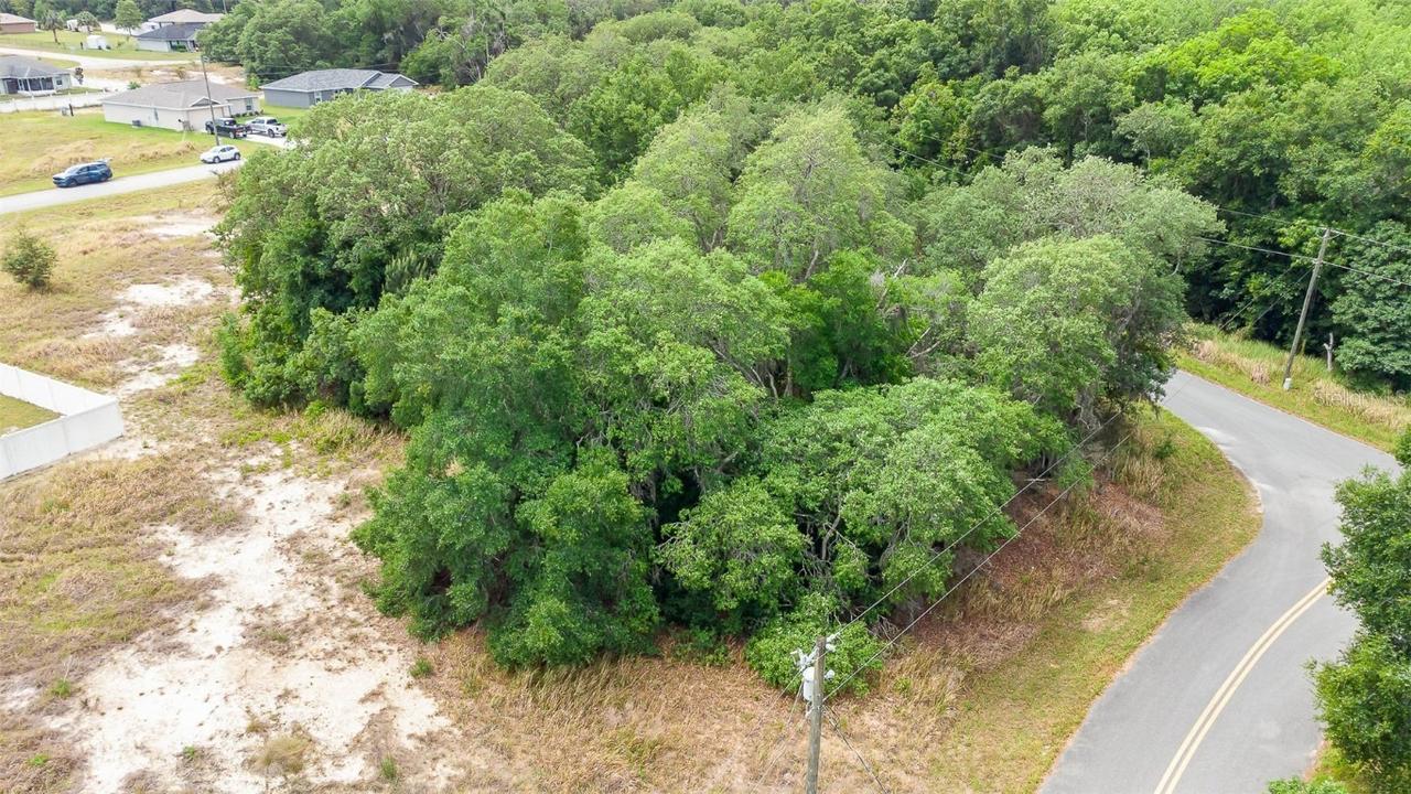 Tbd Oak Lane Loop, Ocala, FL 34472