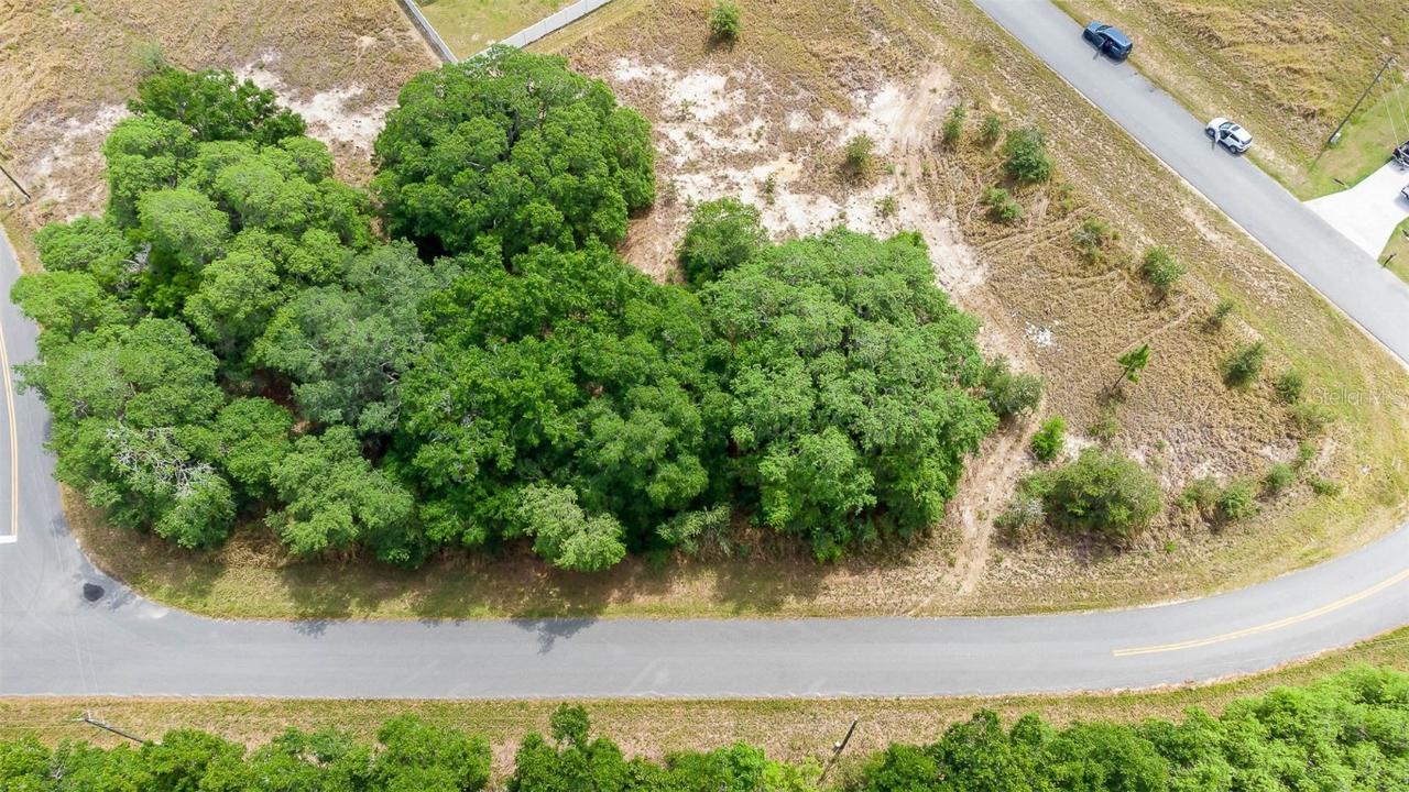 Tbd Oak Lane Track, Ocala, FL 34472