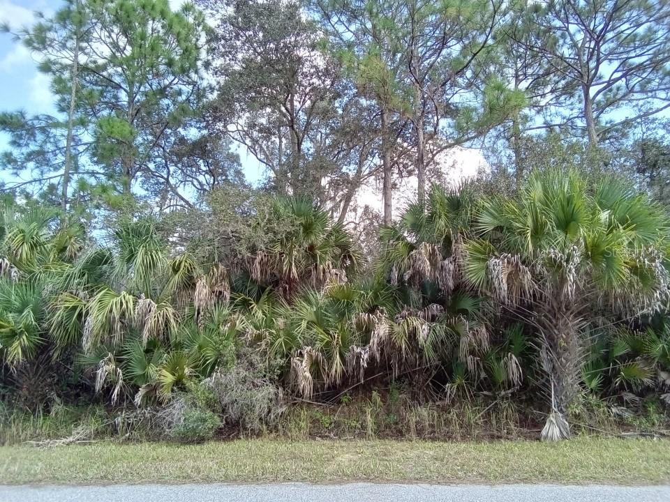 Roman Ave., North Port, FL 34291