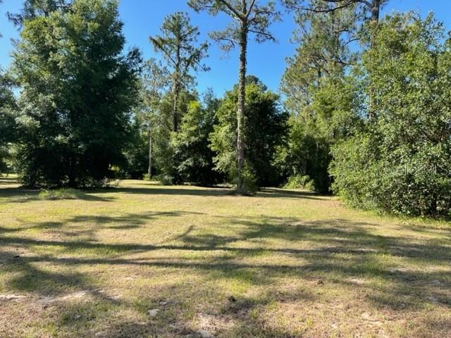 Falabella Ct., Groveland, FL 34736