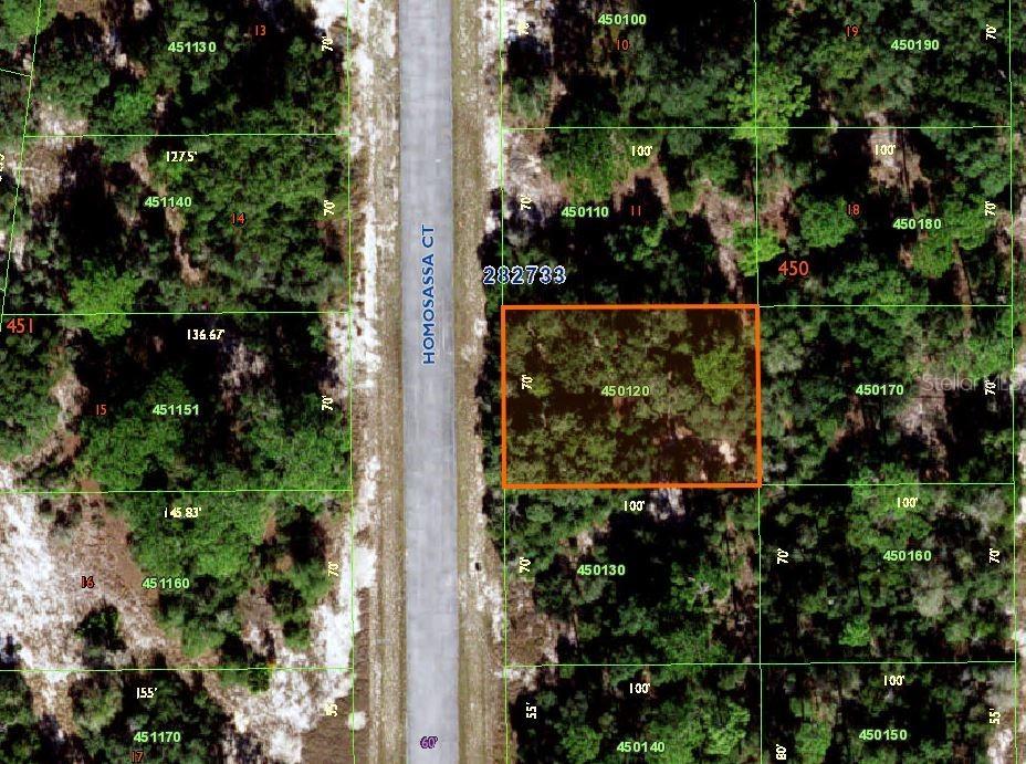 1305 Homosassa Ct Ct., Poinciana, FL 34759