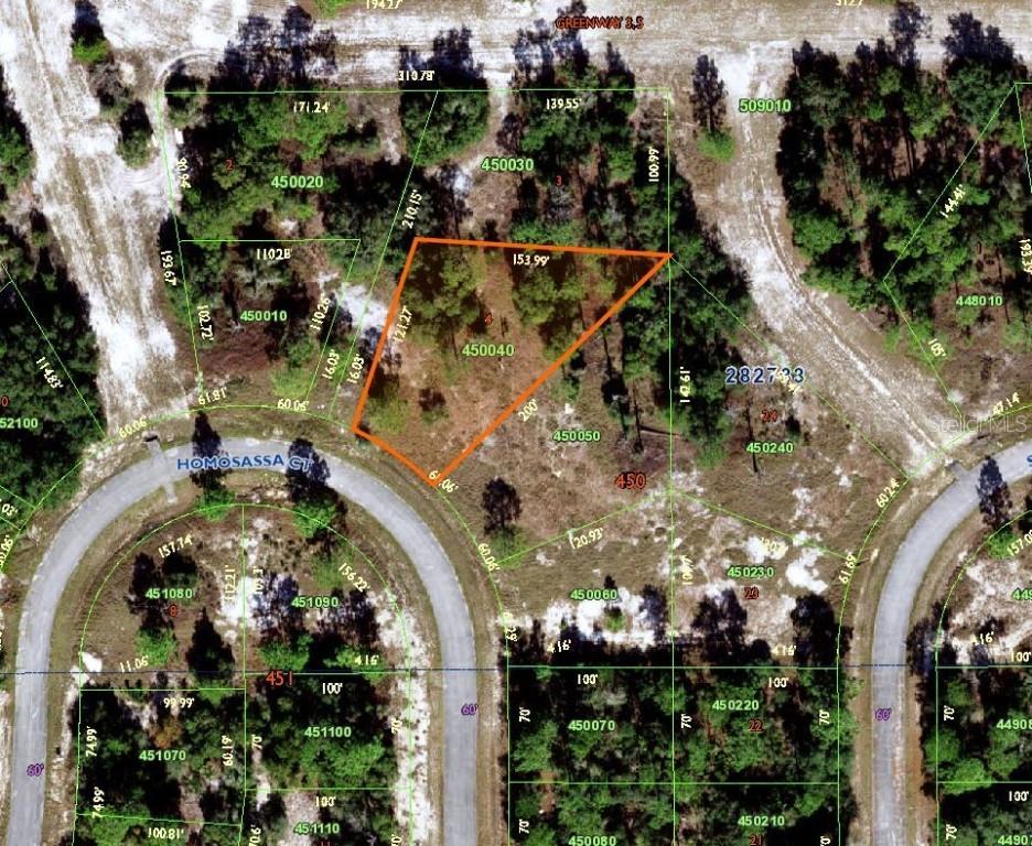 1321 Homosassa Ct., Poinciana, FL 34759