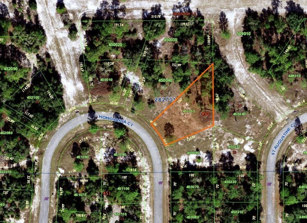 1319 Homosassa Ct., Poinciana, FL 34759