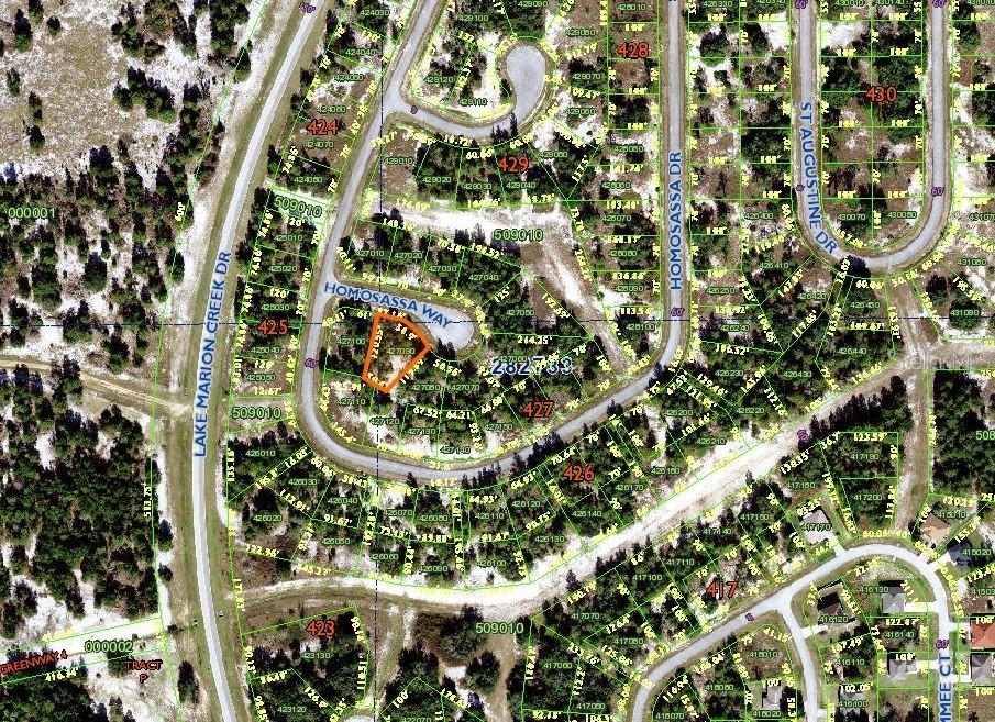 602 Homosassa Way Way, Poinciana, FL 34759