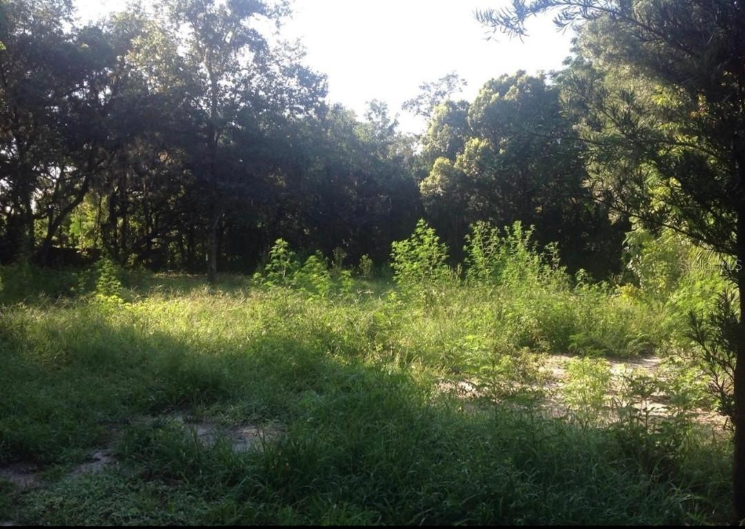 2443 Garbelia Ave., Orlando, FL 32817