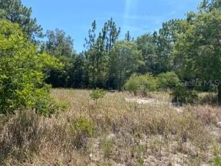 Bahia Pass Track, Ocala, FL 34472