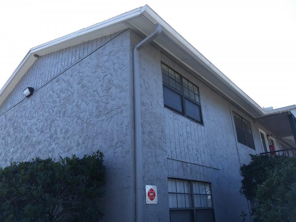 205 Poinsettia Pine Ct. #202, Tampa, FL 33612