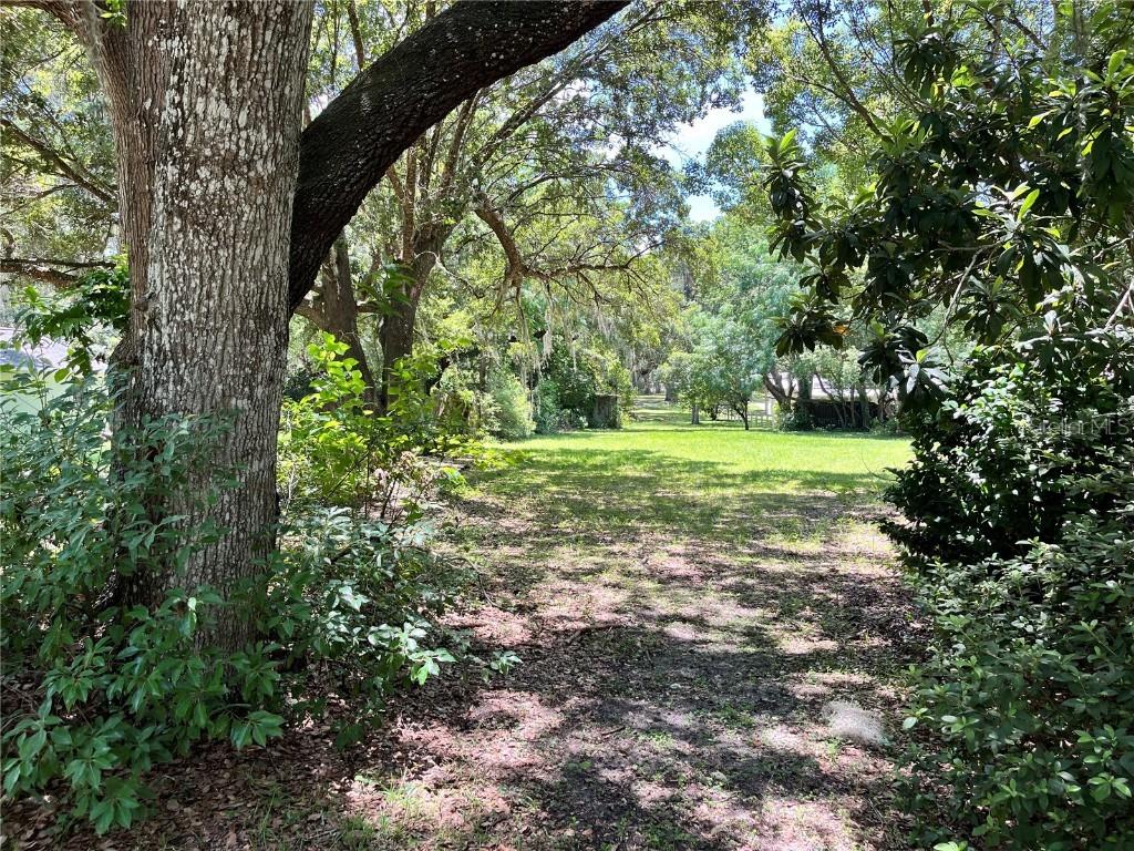 Rosemary Ave., Lady Lake, FL 32159