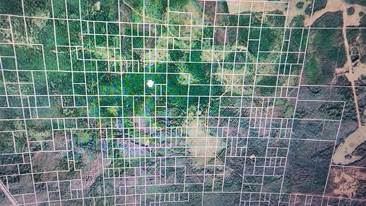 Salyers Rd., Clermont, FL 34714