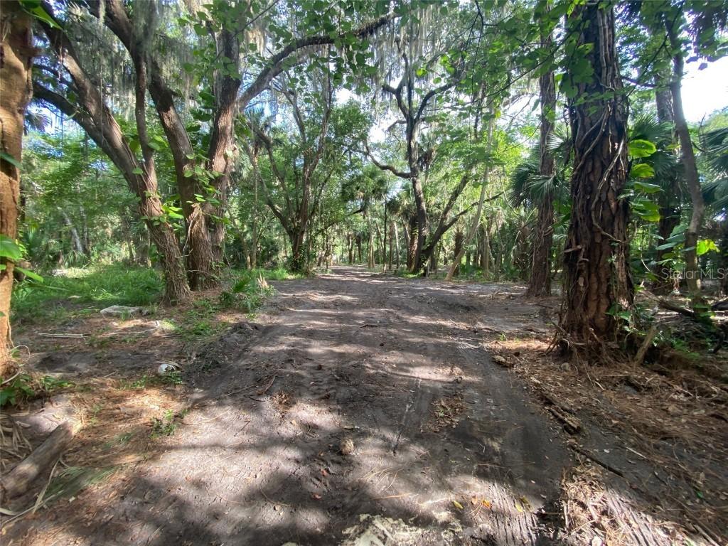 1031 S Myrtle Ave., New Smyrna Beach, FL 32168