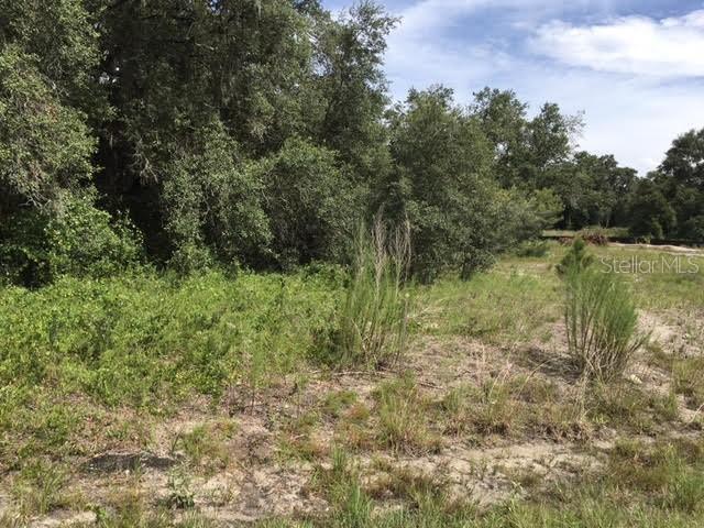 334 Amberjack Ct., Poinciana, FL 34759