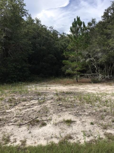 362 Amberjack Ct., Poinciana, FL 34759