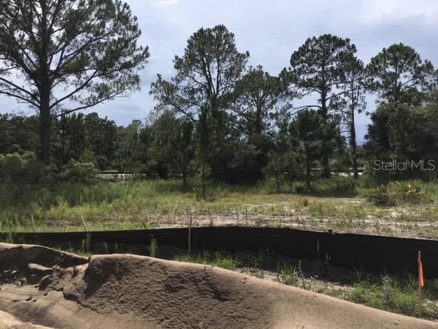 333 Amberjack Ct., Poinciana, FL 34759