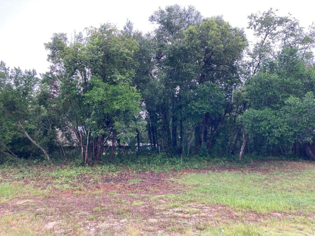 Oak Hill Ct., Eustis, FL 32726