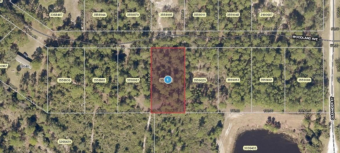 Woodland Ave., Paisley, FL 32767