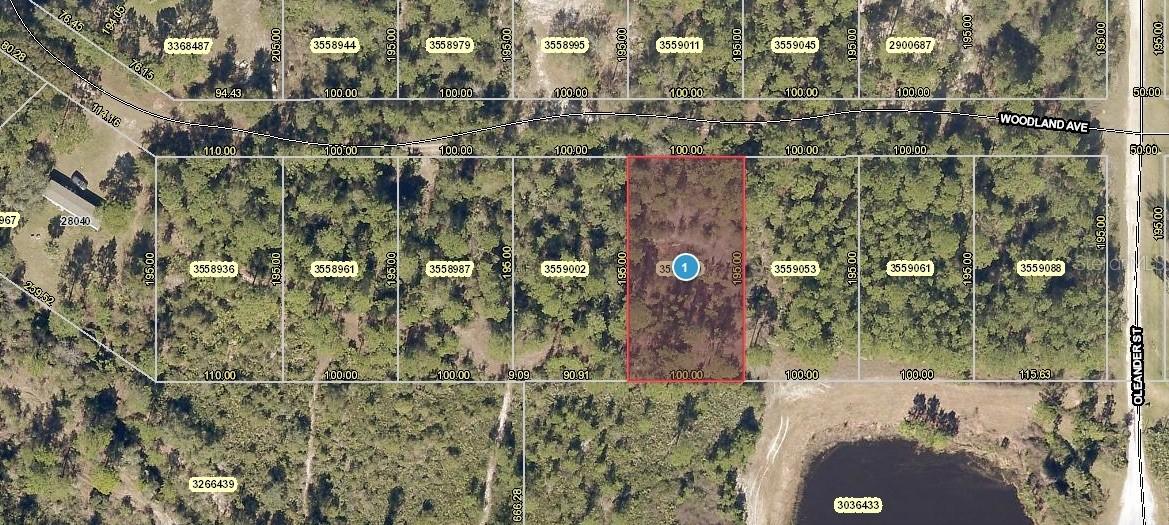 Woodland Ave., Paisley, FL 32767