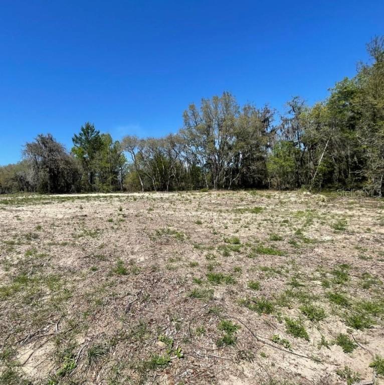 Lot 2 SW 154th Lane Rd., Ocala, FL 34473