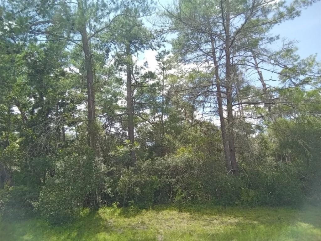 SW 176th Loop, Ocala, FL 34473