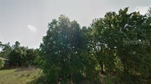 8223 N Empire Ave., Citrus Springs, FL 34433