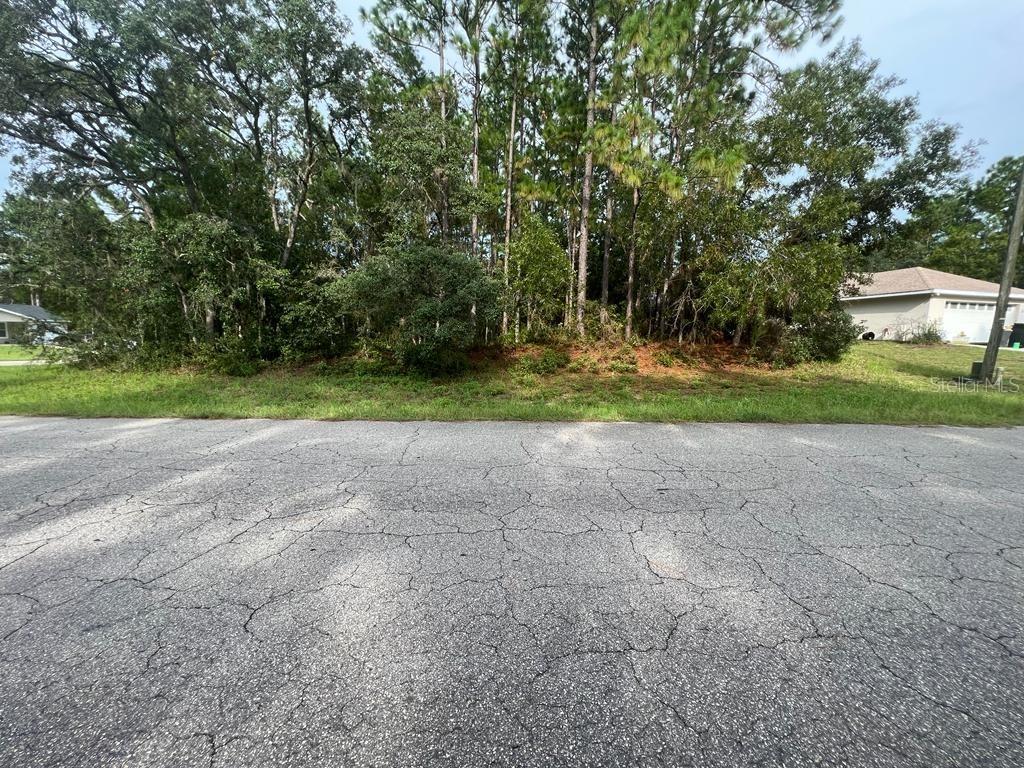 tbd SW 143rd Lane Rd., Ocala, FL 34473