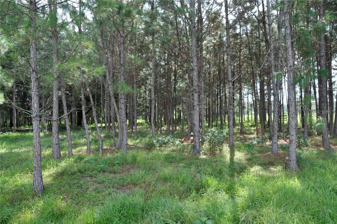 10830 Moore Rd., Lakeland, FL 33809