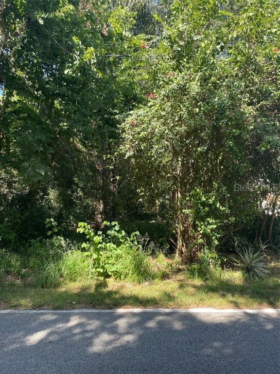 Earlwood Ave., Mount Dora, FL 32757