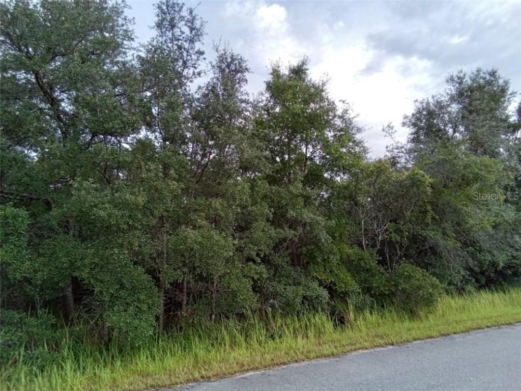 Oak Circle Pass, Ocala, FL 34472