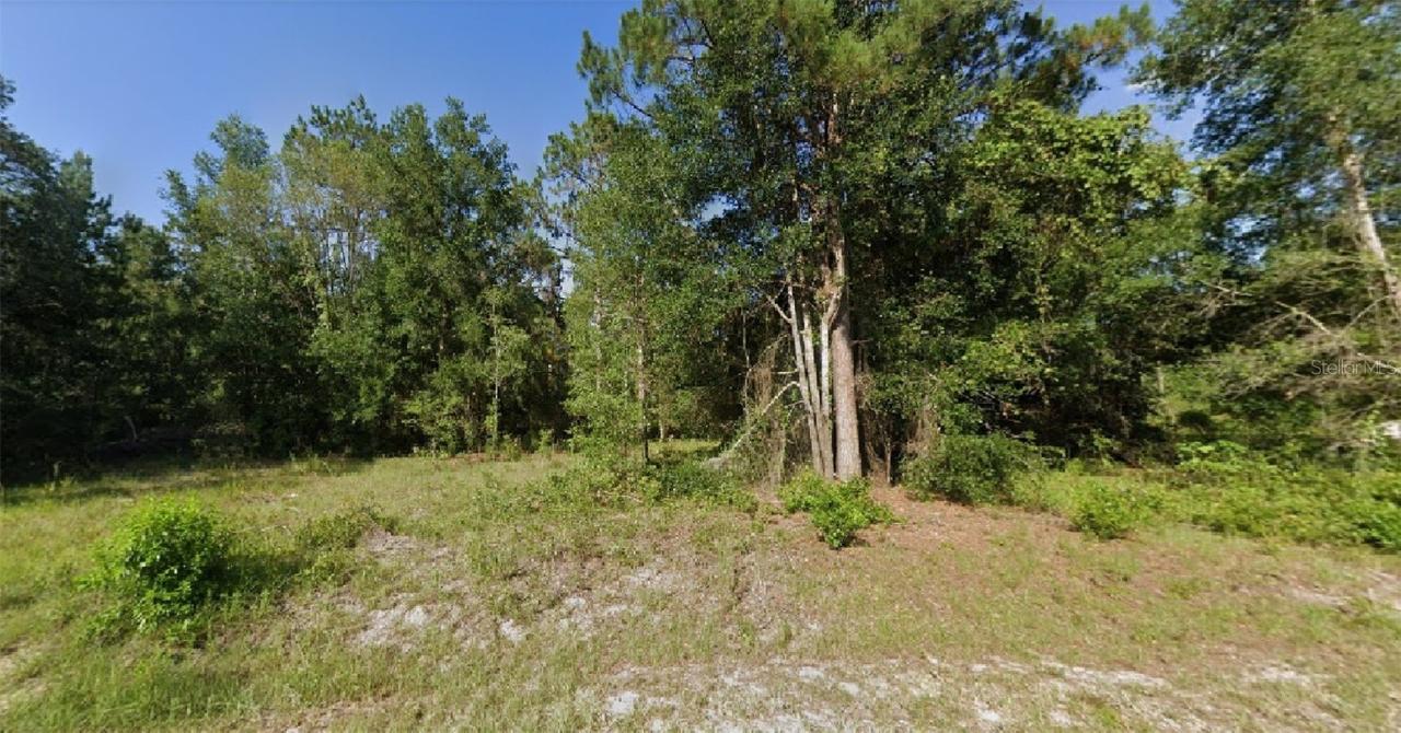 Locust Run Radial, Ocala, FL 34472