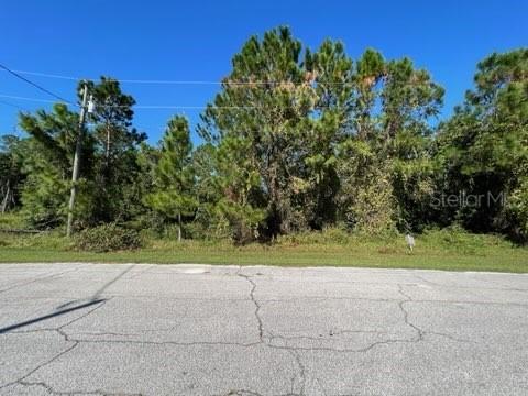 880 Hudson Valley Dr., Poinciana, FL 34759