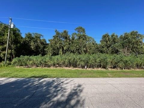 892 Hudson Valley Dr., Poinciana, FL 34759