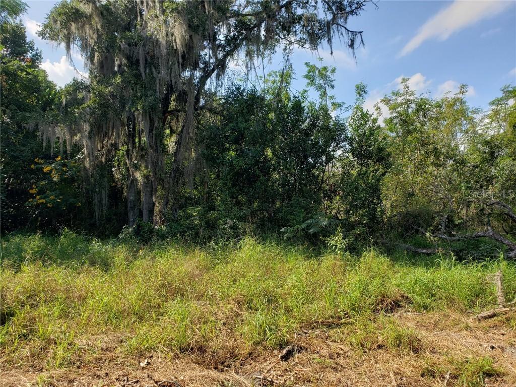 7780 Eden Park Rd., Orlando, FL 32810