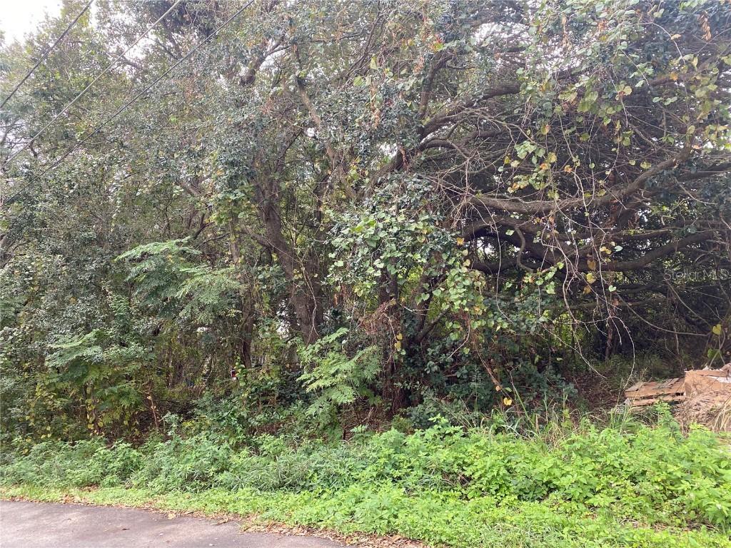 14712 Micah St., Winter Garden, FL 34787