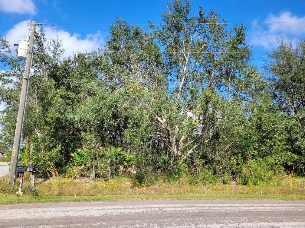 642 N Delmonte Ct., Kissimmee, FL 34758