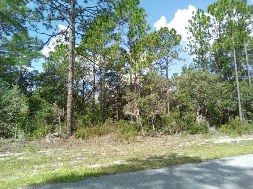 SW 69th Ct Rd., Ocala, FL 34473