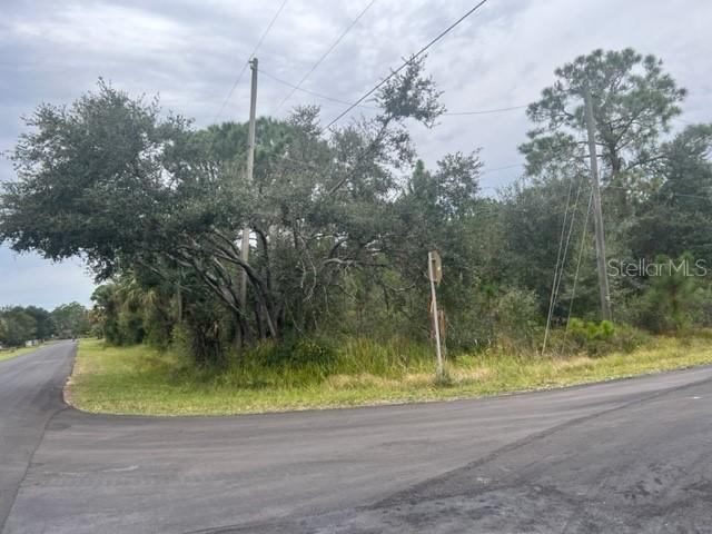 Mondale Ave., Lake Wales, FL 33898
