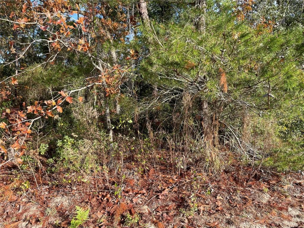TBD Marion Oaks Tr., Ocala, FL 34473