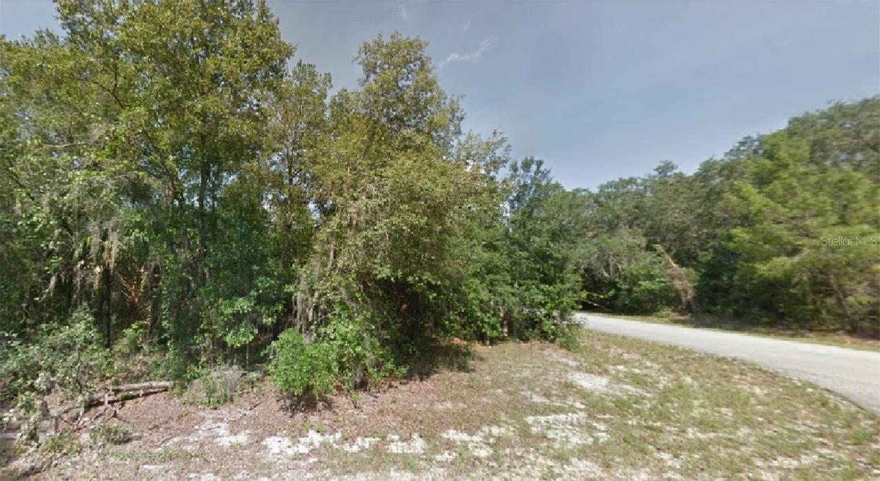 Locust Terrace Place, Ocala, FL 34472