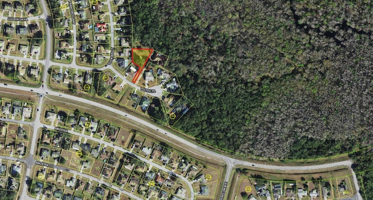 Toltec Pl., Kissimmee, FL 34758