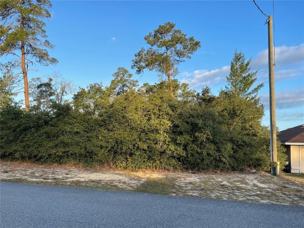 SE 165th St., Ocala, FL 34473