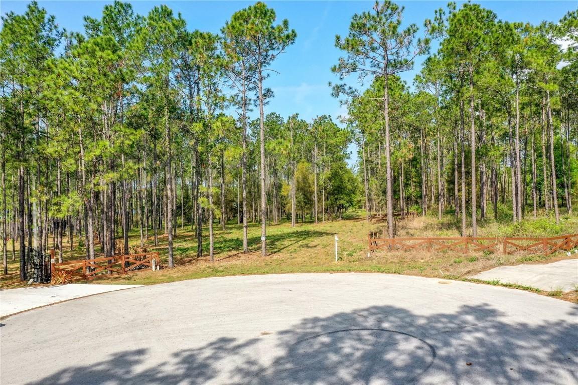 Angels Landing Ct., Clermont, FL 34715
