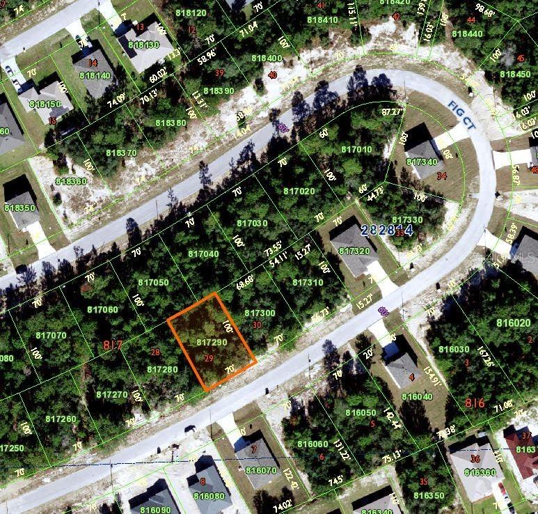 258 Fig Ct., Poinciana, FL 34759