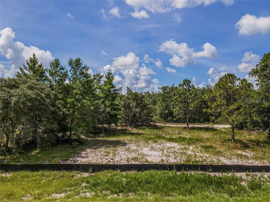 307 Bowfin Ct., Poinciana, FL 34759