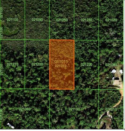 New Homes For Sale This Week in Frostproof: May 12th to May 18th