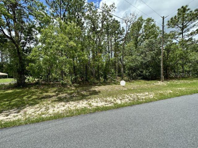 SW 131st Ln., Ocala, FL 34473
