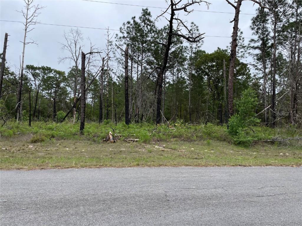 TBD SW 64th Terrace Rd., Ocala, FL 34473