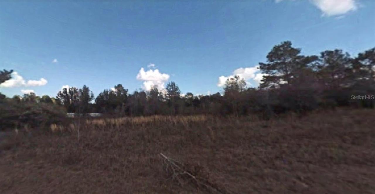 8233 N Lamont Dr., Citrus Springs, FL 34434