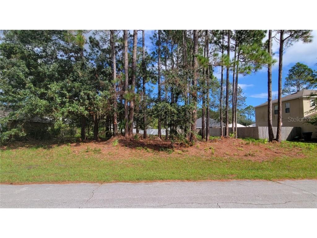 27 Llama Tr., Palm Coast, FL 32164