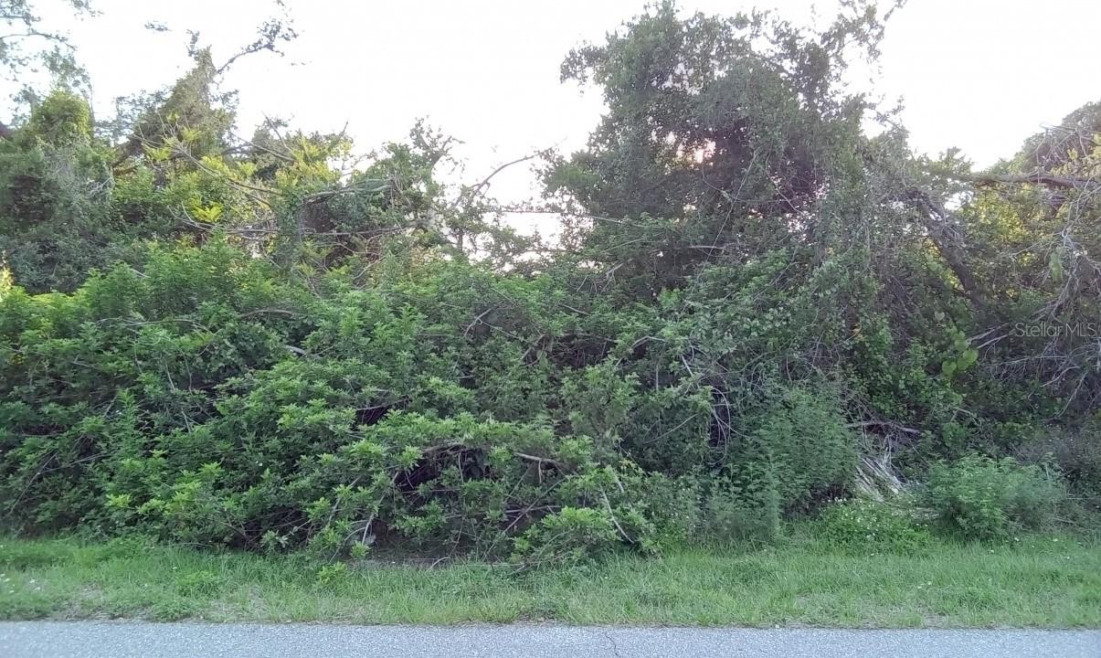 1237 Sultana St., Port Charlotte, FL 33952