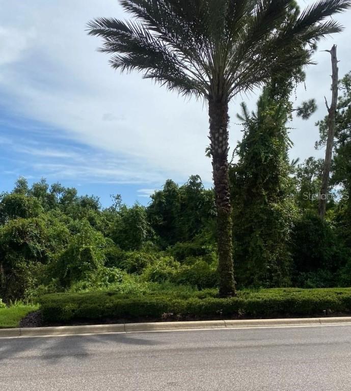 17618 Grove Blossom Way, Winter Garden, FL 34787