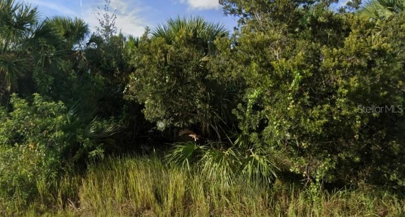 557 Macon St., Palm Bay, FL 32908